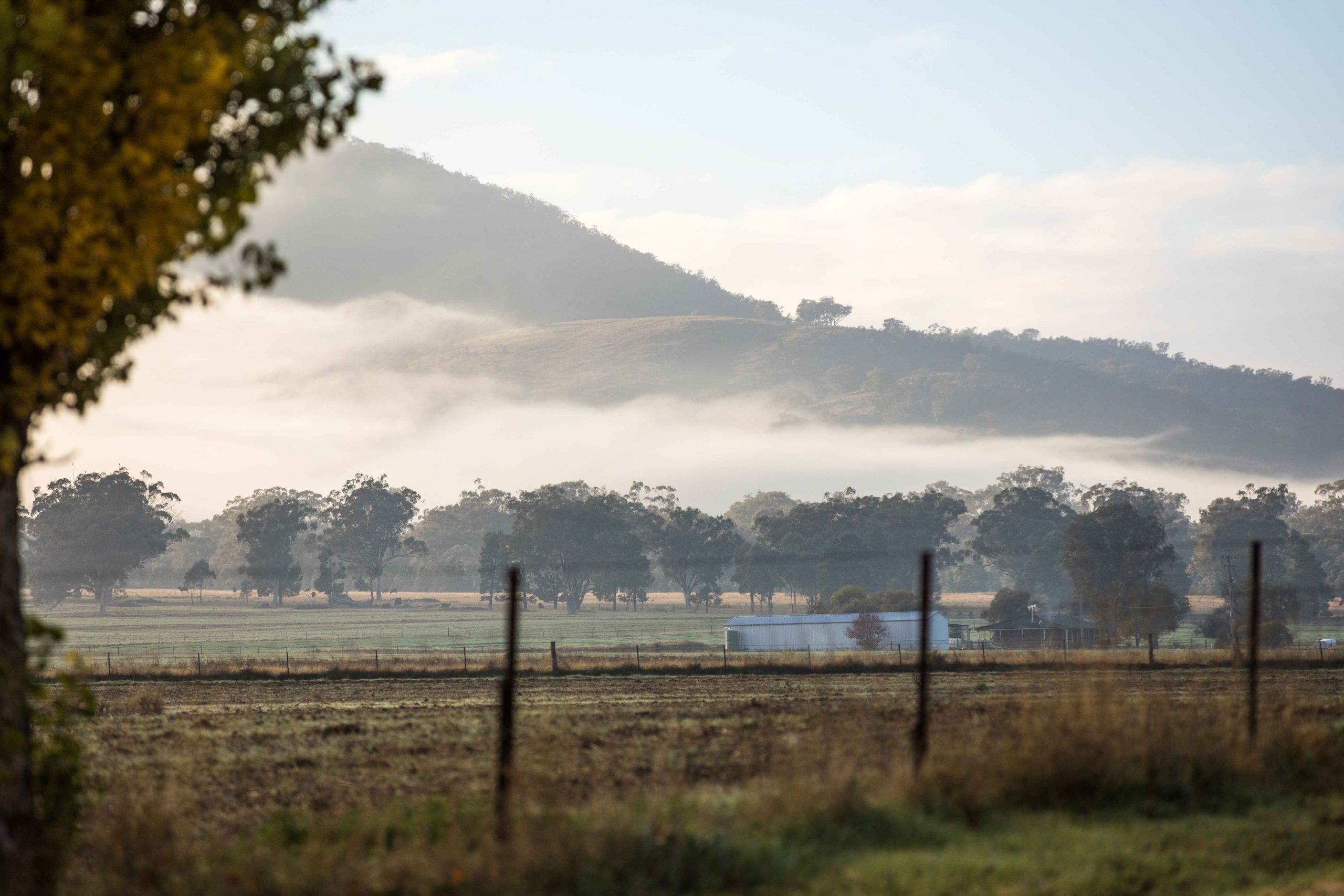 Australian rural scene with mountain and mist in the background, rural fence in foreground