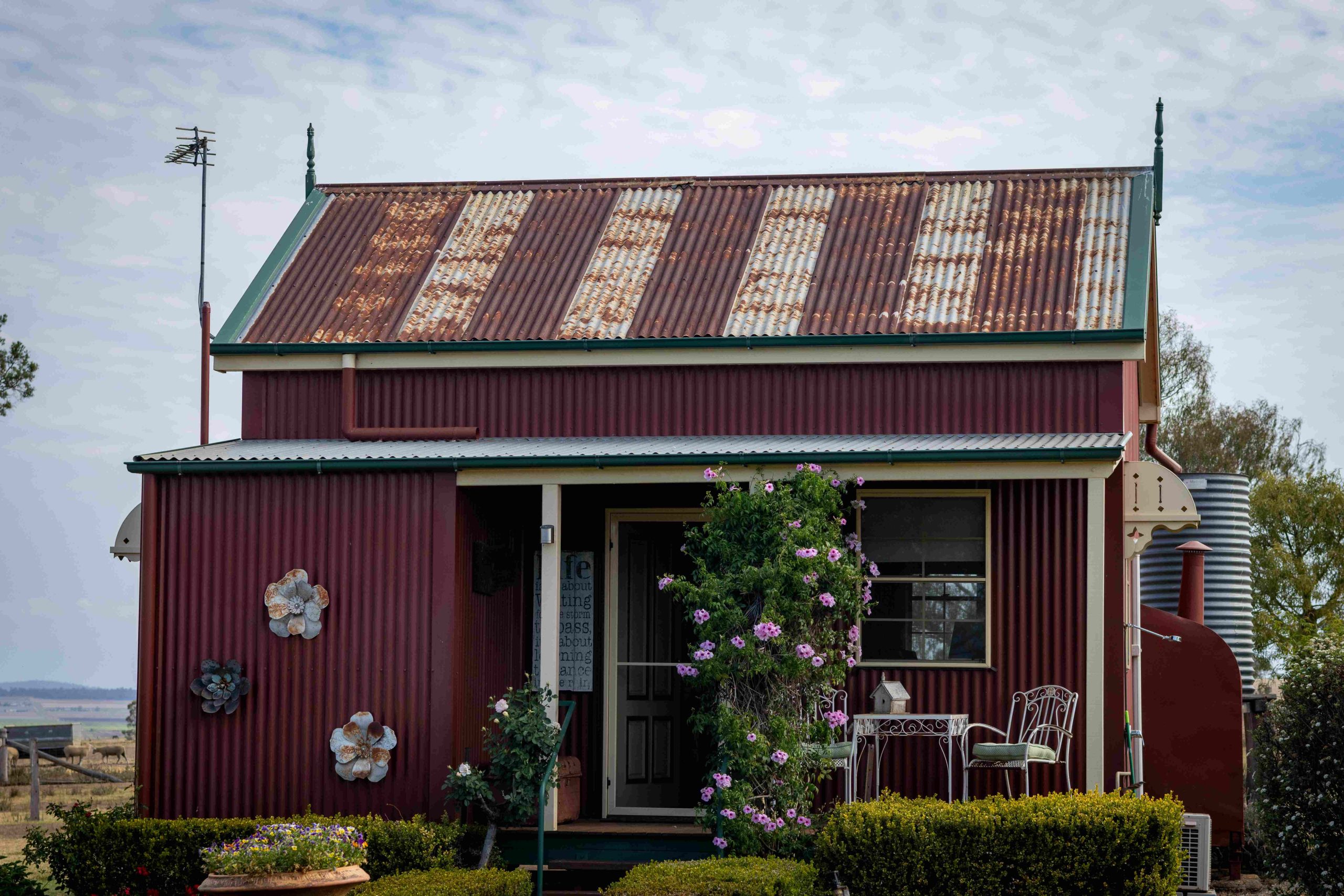 Red rustic cottage with pink roses at the door and green hedges in the foreground