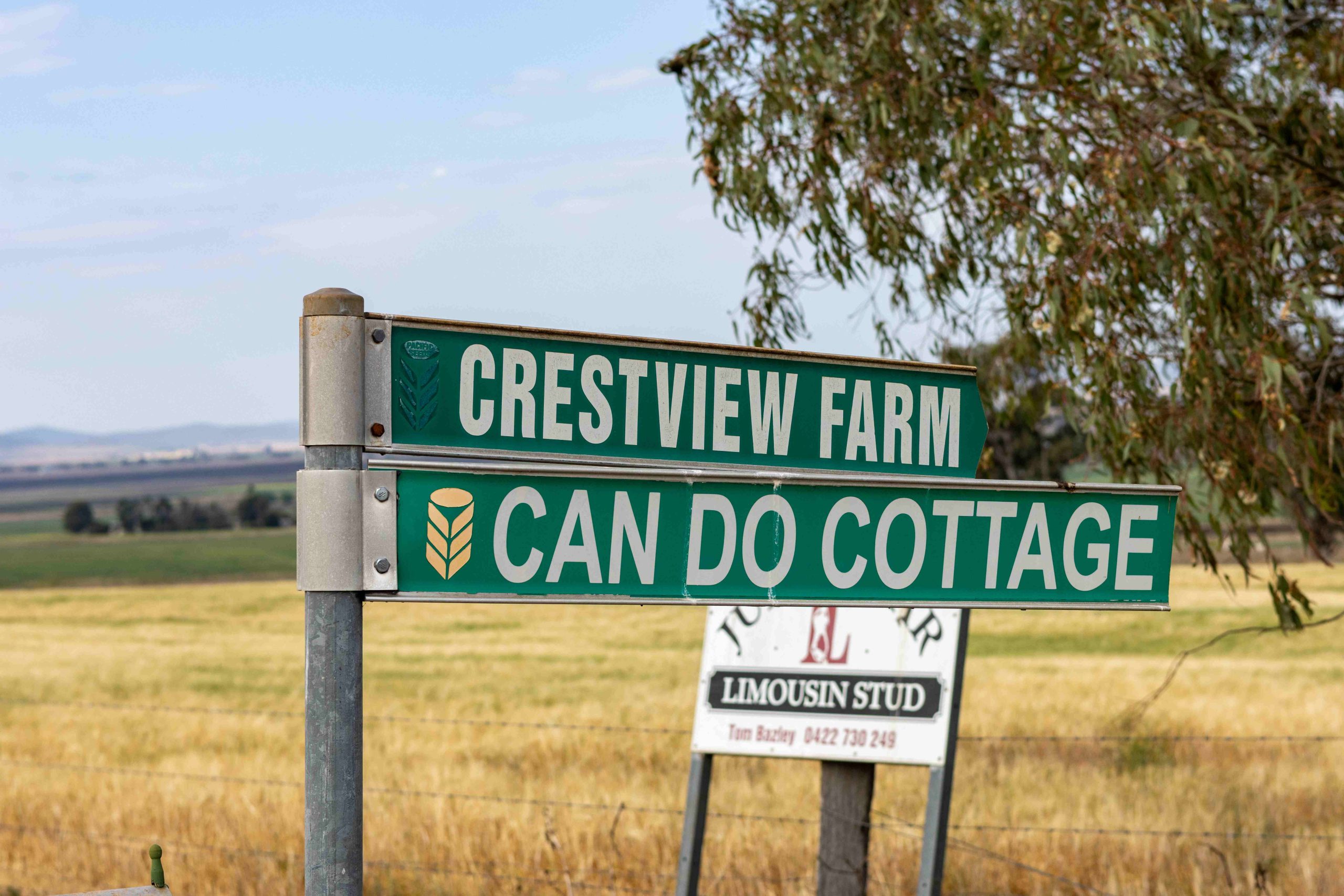 Green property sign for Crestview Farm on top sign, and can do cottage on the bottom sign, pointing to the right